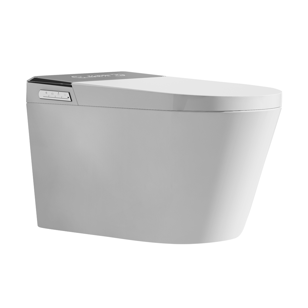 ჩასაშენებელი ჭკვიანი უნიტაზი - GYE 955WB