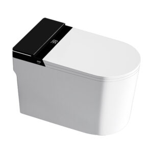 დასადგამი ჭკვიანი უნიტაზი - GYE 97E